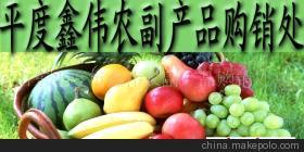 山東玉米市場價格、廠家信息與農產品代理介紹