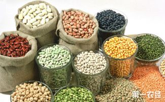 山西聚焦特色資源，擬10月確定20個(gè)獨(dú)有功能農(nóng)產(chǎn)品品牌